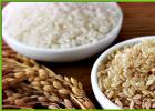 Rik sammensetning og store fordeler av brun ris