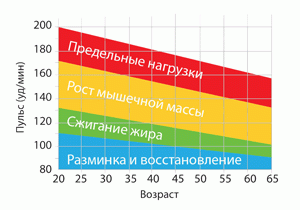 Какой пульс должен быть на беговой дорожке. Зоны пульса. Зоны пульса для тренировок. Зона пульса для сжигания жира. Пульсовые зоны тренировки.